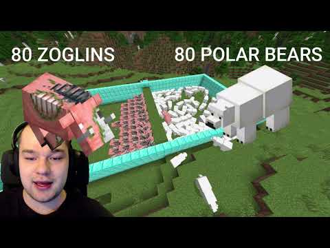 80 ZOGLINS VS 80 POLAR BEARS in minecraft