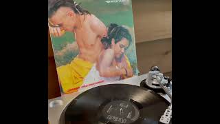 Bow Wow Wow – Chihuahua 1981