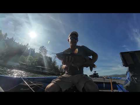 Clear Lake, CA – ABA Tournament Grind with Jighead Minnow (Beyond the Bite Fishing)