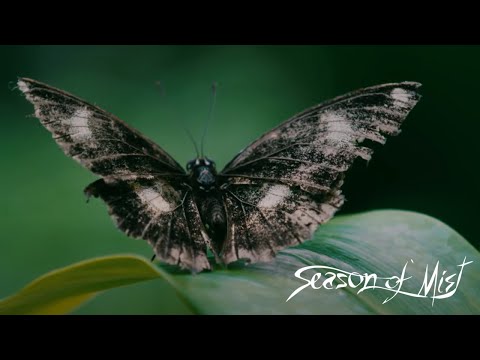 CRIPPLED BLACK PHOENIX - "Everything is Beautiful But Us" (official video) 2022