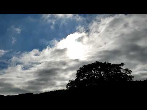 Jean-Luc Ponty, Richard Galliano & Michael Portal, Viersen (1998)