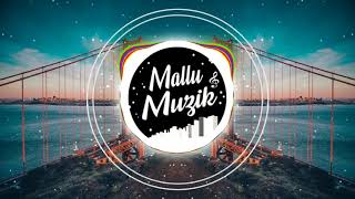 Stereo Hearts x Zaalima (Hindi x English Mashup) | DJ Sid | Mallu Muzik Official