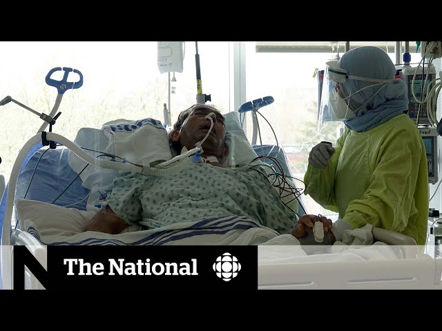 Vidéo Prononciation de Icu en Anglais