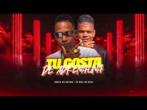 TU GOSTA DE ADRENALINA -  BARCA NA BATIDA, EO NIEL, MC MATHEUZINHO DO LINS