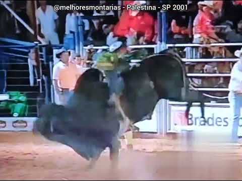 EDNEI CAMINHAS VS DECRETO - PALESTINA - SP 2001 #rodeo #pbr #rodeio