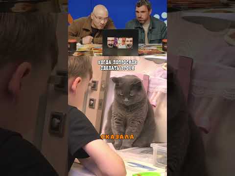 Репетитор года!
