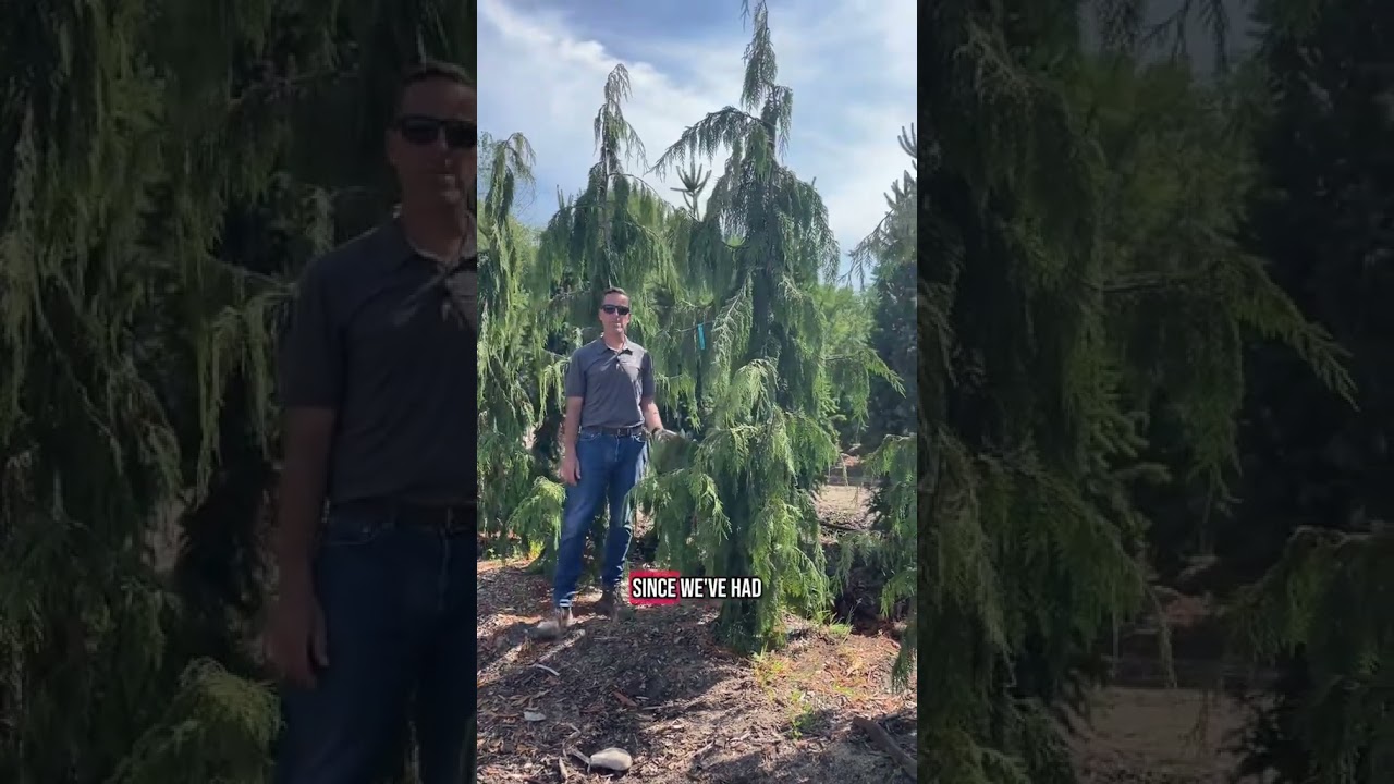 More of Henry’s top picks!