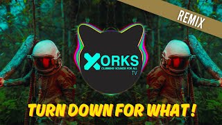 Download lagu DJ Snake & Lil Jon - Turn Down for What (DOOVS x B BROS x KL PROD Remix) mp3 Download lagu DJ Snake & Lil Jon - Turn Down for What (DOOVS x B BROS x KL PROD Remix) mp3