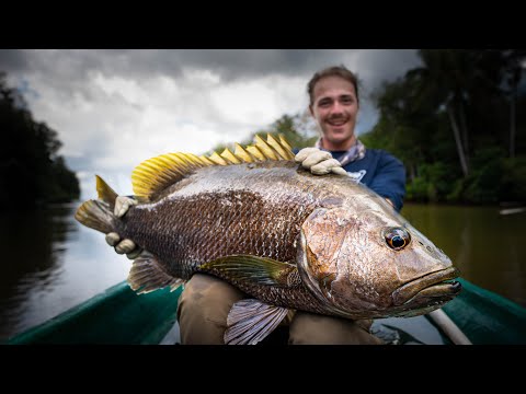 MONSTER Papuan BASS on Topwater - Indonesia Ep. 10