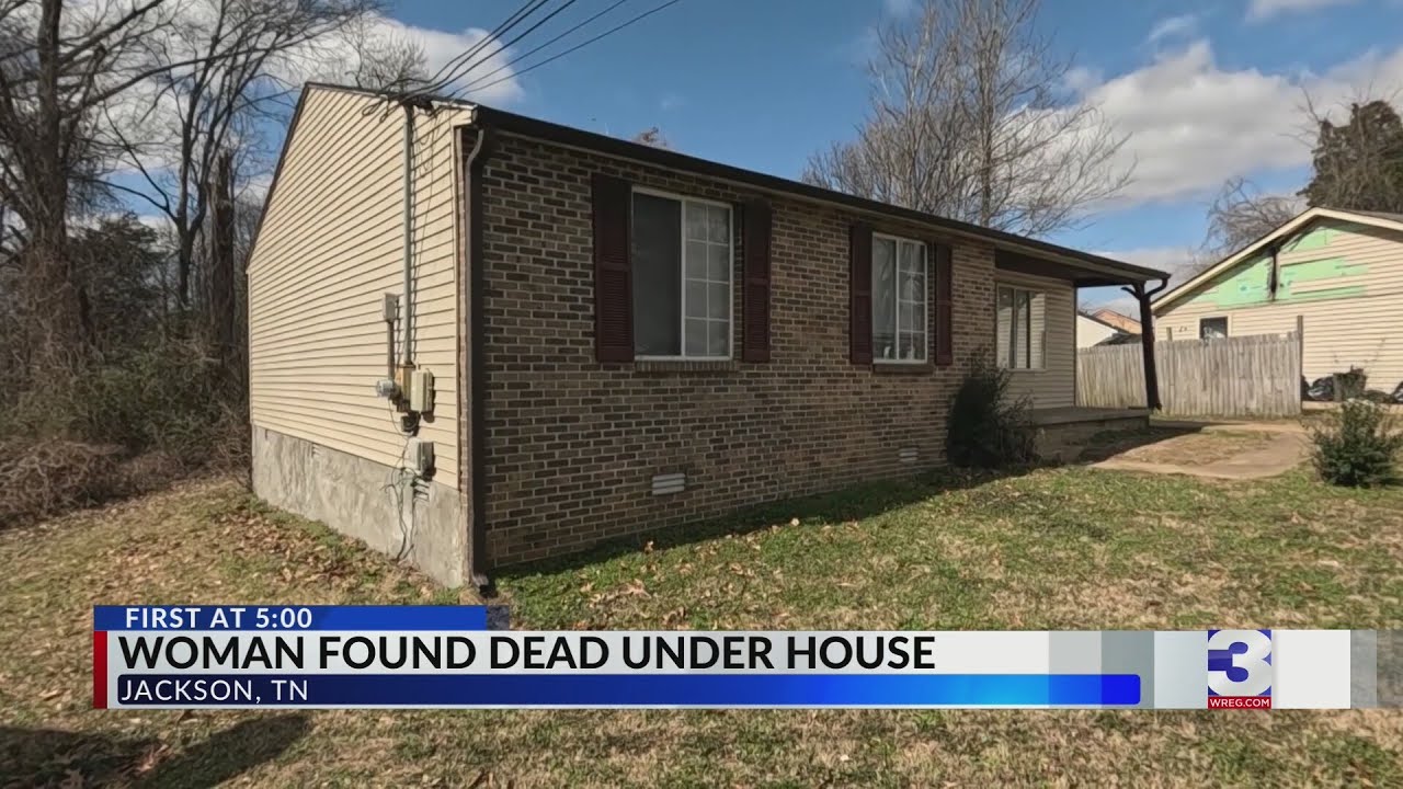Woman found dead under house in Jackson, TN