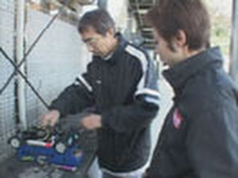 トラキレピスについて詳しく解説