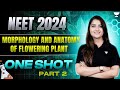 Morphology and Anatomy of Flowering Plants | One Shot | Part 2 | NEET 2024 | Seep Pahuja