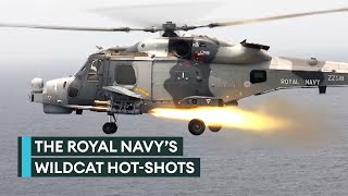 815 Naval Air Squadron: The Wildcat maritime attack helicopter crack team