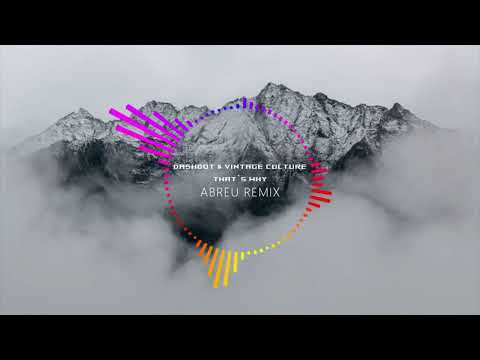 Dashdot & Vintage Culture   That's Why ( ABREU Remix )
