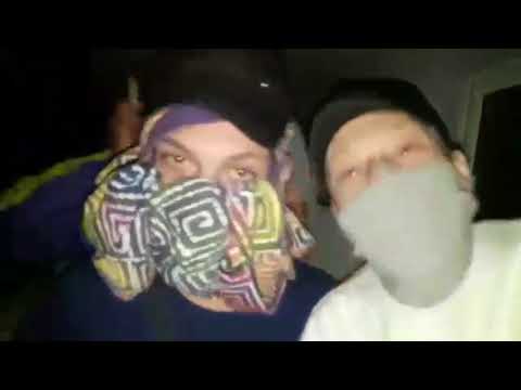 MŁODY OSA - poznaj ose