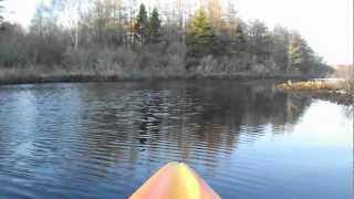 preview picture of video 'Flatwater Kayaking on Meteghan River, Nova Scotia - High Definition Video'