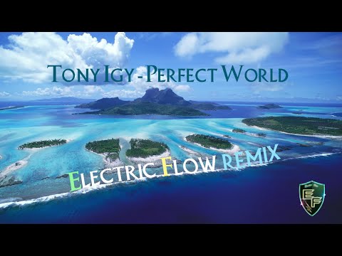 Tony Igy  - Perfect World (Electric Flow Remix)