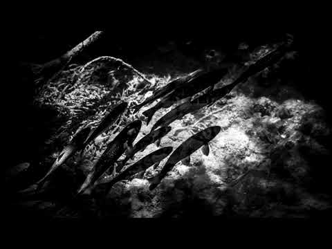 SHLM - 4 سلما (Original Mix)