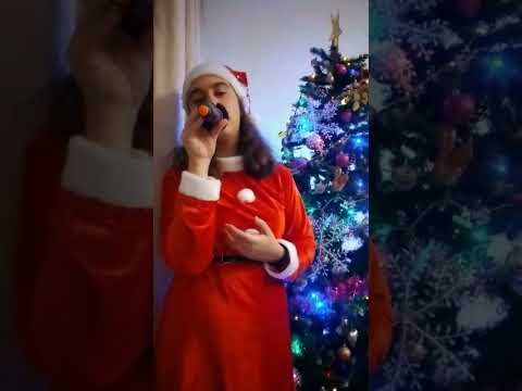 Gabroveanu Beatrice Gabriela - Snow in California