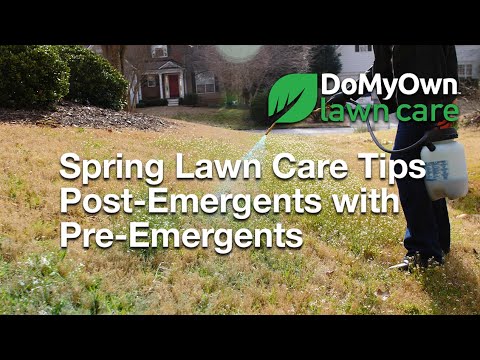  Should I Use Post-Emergents with Pre-Emergents in the Spring? | DoMyOwn.com Video 