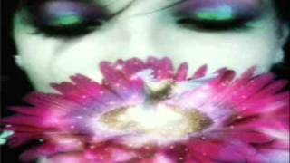 Ich liebe das Leben - Andrea Berg Ich Leben SCHLAGER MUSIK