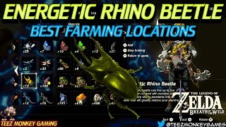 Zelda Breath of the Wild - Energetic Rhino Beetle Locations