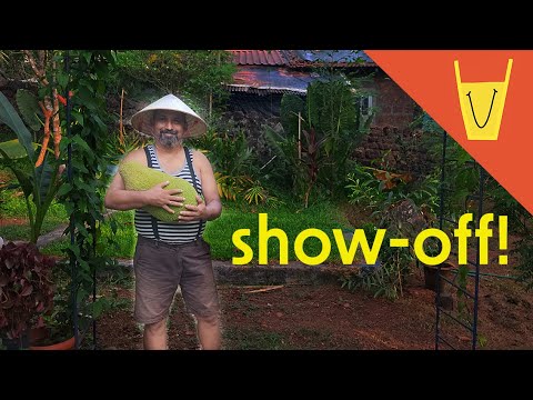 Meet the man obessed with Jackfruits | The Kitchen Garden Guy
