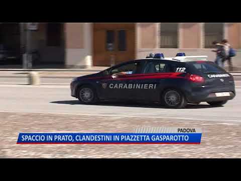 TG (18/08/2018) - SPACCIO IN PRATO, CLANDESTINI IN PIAZZETTA GASPAROTTO