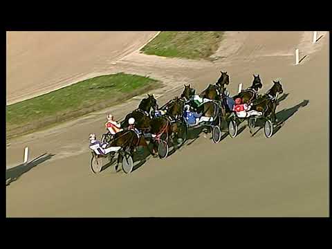 Trotto 31/12/2020 - 3ª corsa