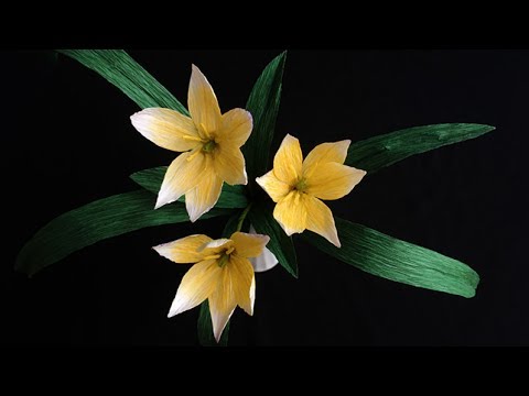 ABC TV | How To Make Tulipa Tarda Paper Flower From Crepe Paper - Craft Tutorial
