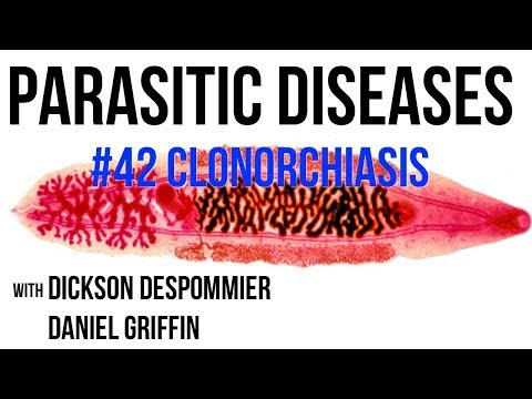Parasites Without Borders, Parasitic Diseases Lectures #42: Clonorchiasis