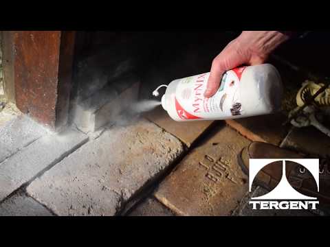 Bekämpa myror och silverfiskar med MyrNIX