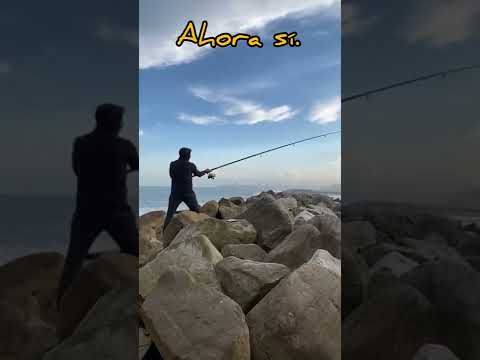 MANEJANDO UNA KIDEN KD250-V (Rocketman). RUTA A MARDEL Y UN POCO MAS!!!