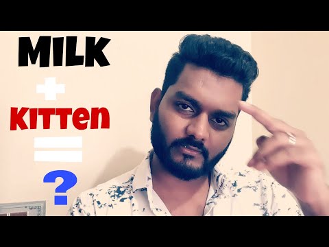 Can we give Cow milk to kitten/cat?