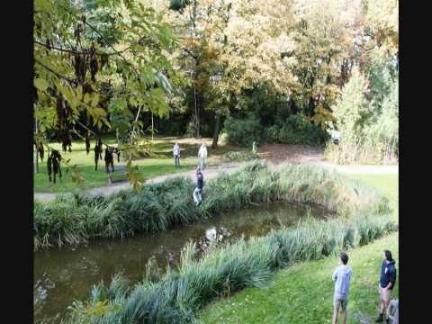 Chiro Kallo startdag nieuwe leiding [HD] by Jos Vandemaele