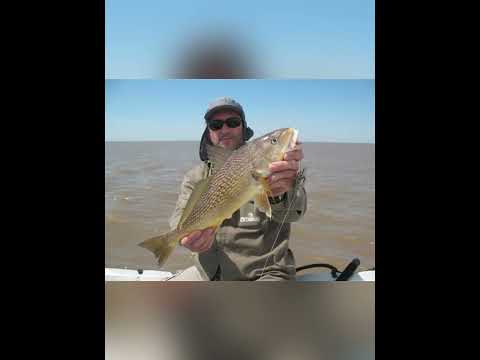 Spot Formosa- La Herradura naturalmente tuya 🍃