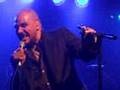 Barry Adamson - Jazz Devil (Live)