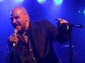 Barry Adamson - Jazz Devil (Live) 