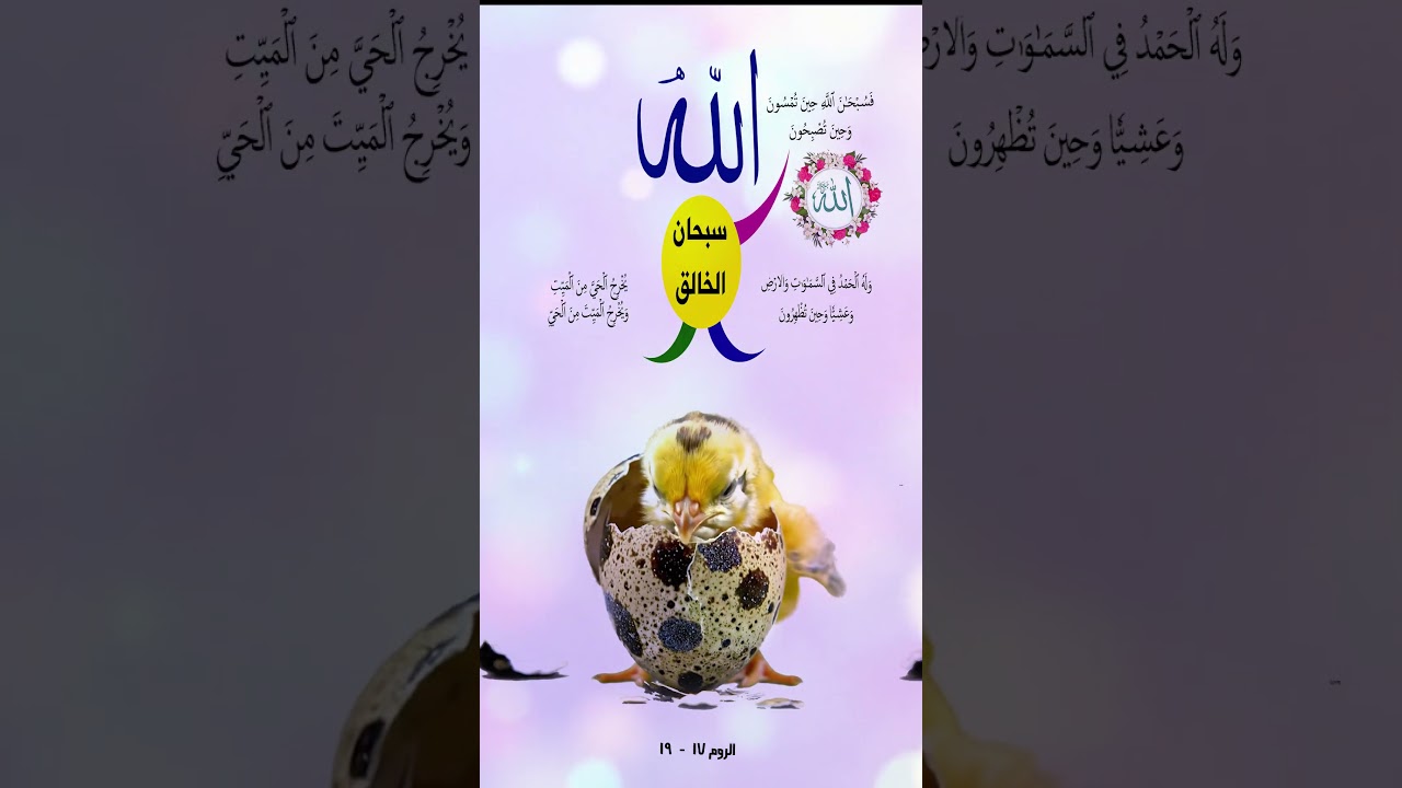سبحان الخالق