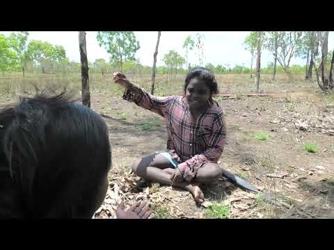 Nawarddeken Academy - The Two Brothers