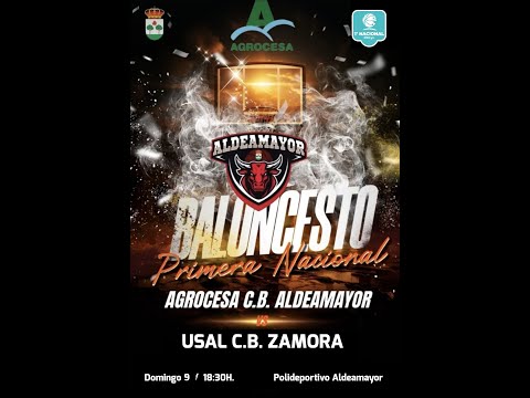 Jornada 19.  AGROCESA C.B. ALDEAMAYOR - USAL C.B. ZAMORA