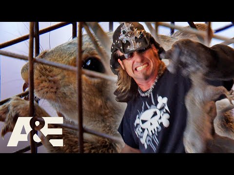 Top 3 SAVAGE Squirrel Captures | Billy the Exterminator | A&E
