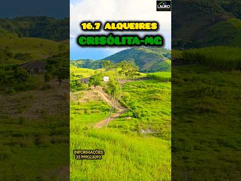 ✨️FAZENDA RIO NEGRO 16.7 ALQUEIRES VENDA PORTEIRA FECHADA 50 VACAS 30 BEZERROS 10 ANIMAIS LIDA✨️