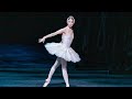 Swan Lake Odette S Entrance Lauren Cuthbertson William Bracewell The Royal Ballet