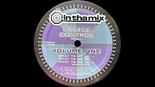 Onionz & Tony - What Ya Do  (2000)