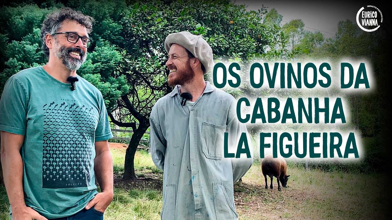 Como escolher ovinos para pequenas propriedades