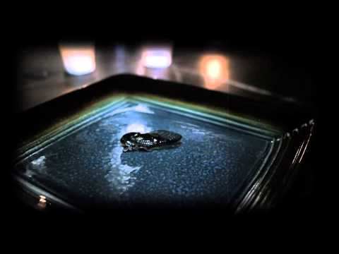 Kanis Lu x Mark Deez - Vendetta (Music video Directed by Drew Welsh)