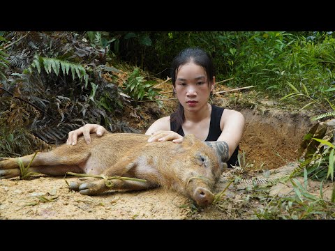 A Wild Boar Falls into a Trap - Determined to Tame Wild Boar | Survive Alone & Living Off Grid