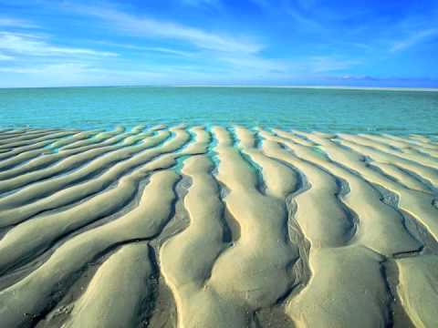 Hugh Brown Vanishing World 1.m4v