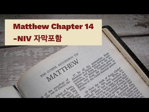Matthew 14 NIV AUDIO BIBLE (with text)